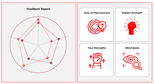 360 Feedback